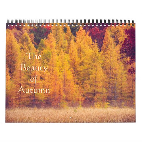 Gorgeous Colorful Autumn Photography Calendar