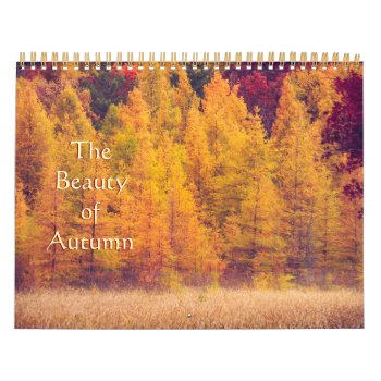Gorgeous  Colorful Autumn Photography Calendar by Vanillaextinctions at Zazzle