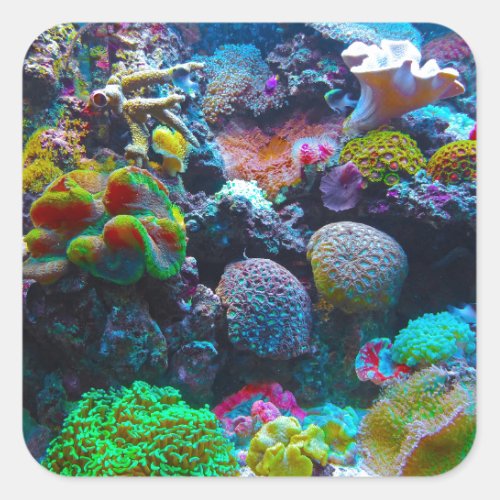 Gorgeous Coral Reef Square Sticker