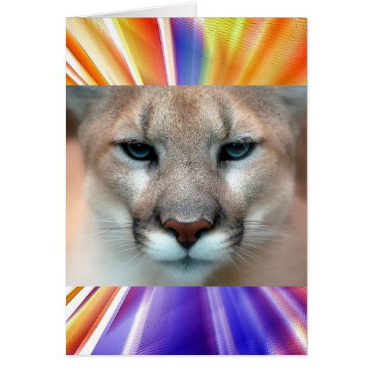 GORGEOUS COUGAR CARDS (Front)