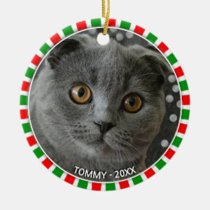 Gorgeous custom gray cat photo and green red frame ceramic ornament