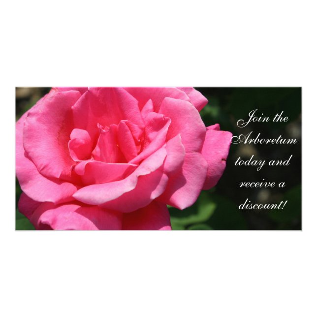Gorgeous Deep Pink Rose Card (Front)