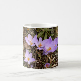 Gorgeous Fall Crocuses Coffee Mug
