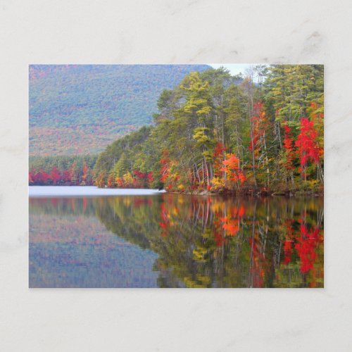 Gorgeous Fall Foliage Reflections Photo Postcard