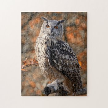 Gorgeous Fall Owl Photo Jigsaw Puzzle by RiverJude at Zazzle