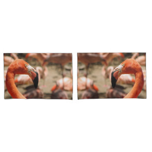 Gorgeous Flamingo Pair Of Pillowcases! Pillow Case