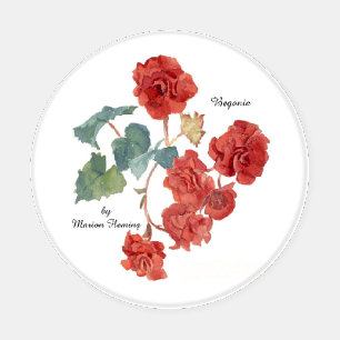 Gorgeous Flower Studies Coaster Set