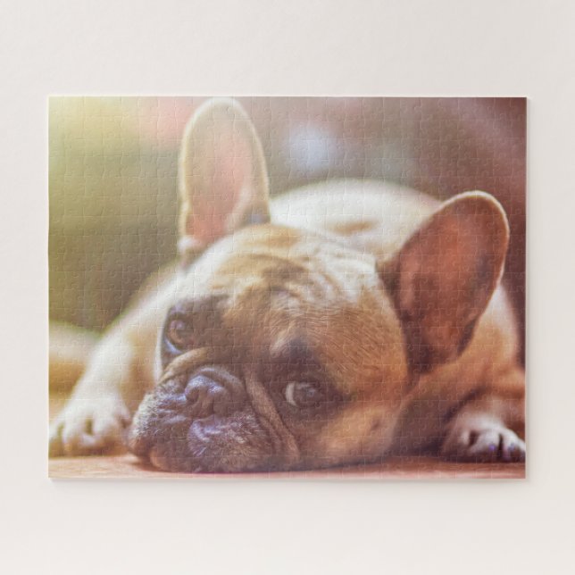 Gorgeous french bulldog lying down jigsaw puzzle (Horizontal)