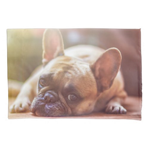 Gorgeous french bulldog lying down pillowcase