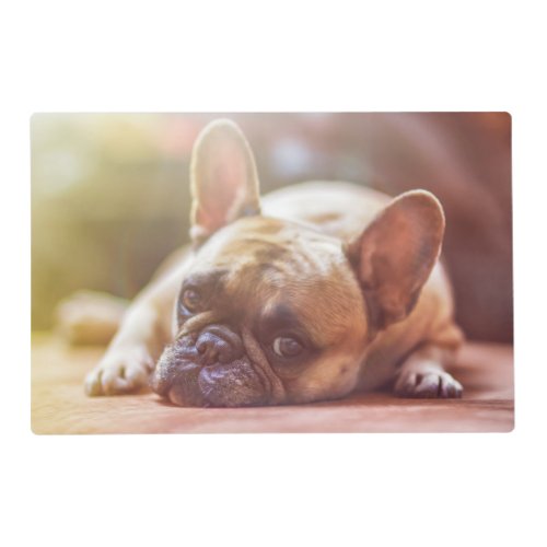 Gorgeous french bulldog lying down placemat