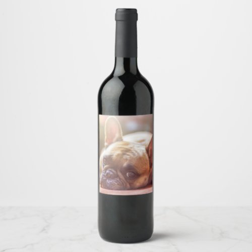 Gorgeous french bulldog lying down wine label