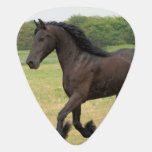 Gorgeous Friesian Horse Guitar Pick