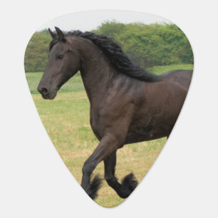 Gorgeous Friesian Horse Guitar Pick