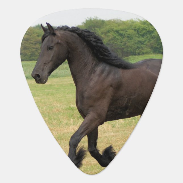 Gorgeous Friesian Horse Guitar Pick (Front)