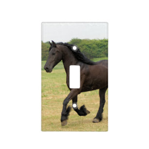 Gorgeous Friesian Horse Light Switch Cover