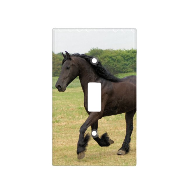 Gorgeous Friesian Horse Light Switch Cover (Front)