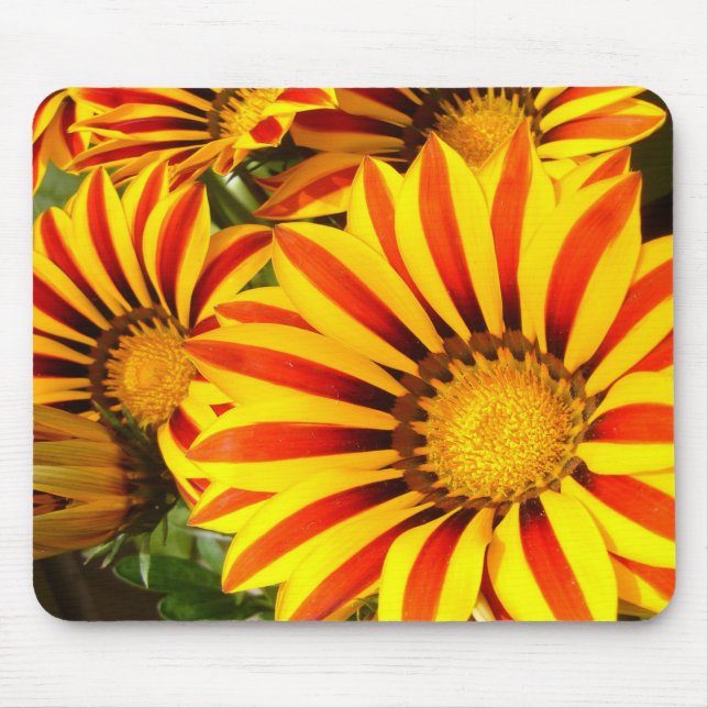 Gorgeous Gazania Mouse Pad (Front)