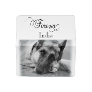 personal checks printed with german shepherd picture