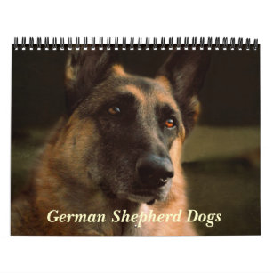 Gorgeous German Shepherd Dog Calendar