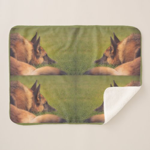 Gorgeous German Shepherd Dog Laying in the Grass Sherpa Blanket