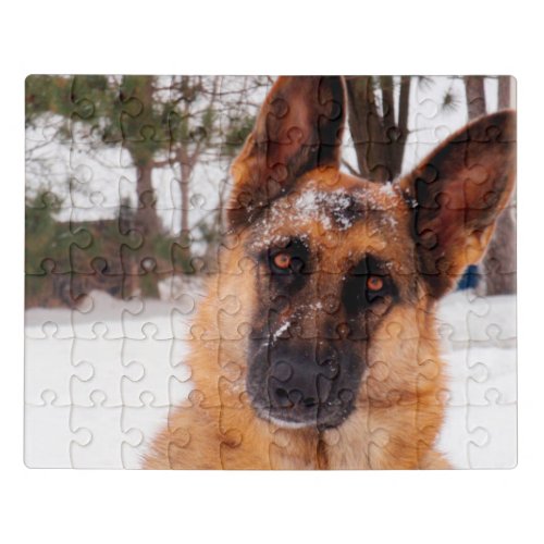 Gorgeous German Shepherd in the Winter Jigsaw Puzzle