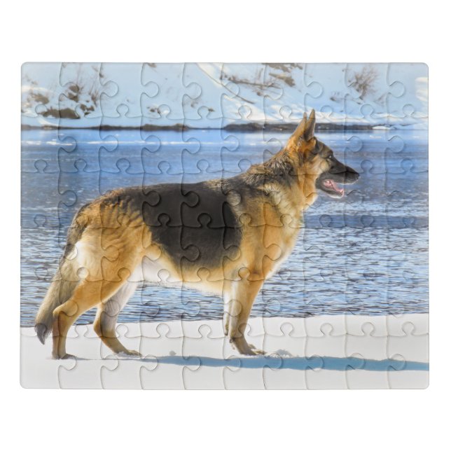 Gorgeous German Shepherd in the Winter Jigsaw Puzzle (Puzzle Horizontal)