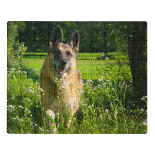 Gorgeous German Shepherd Photo Jigsaw Puzzle