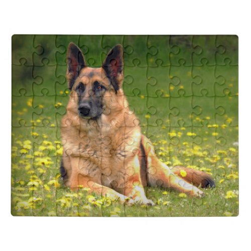 Gorgeous German Shepherd Photo Jigsaw Puzzle