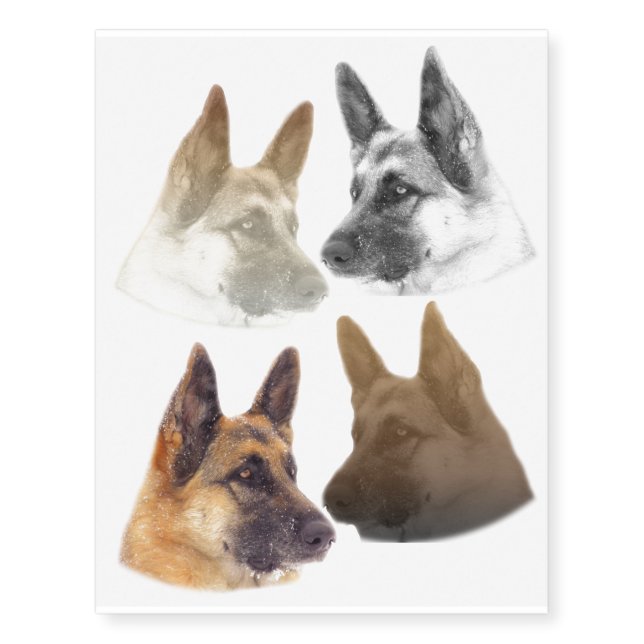 Gorgeous German Shepherd Profile Original Artwork Temporary Tattoos (Front)