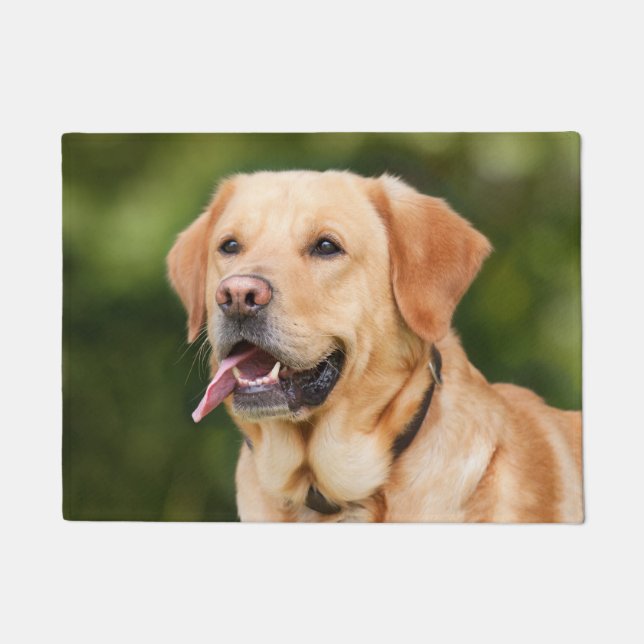 Gorgeous Golden Labrador Doormat (Front)