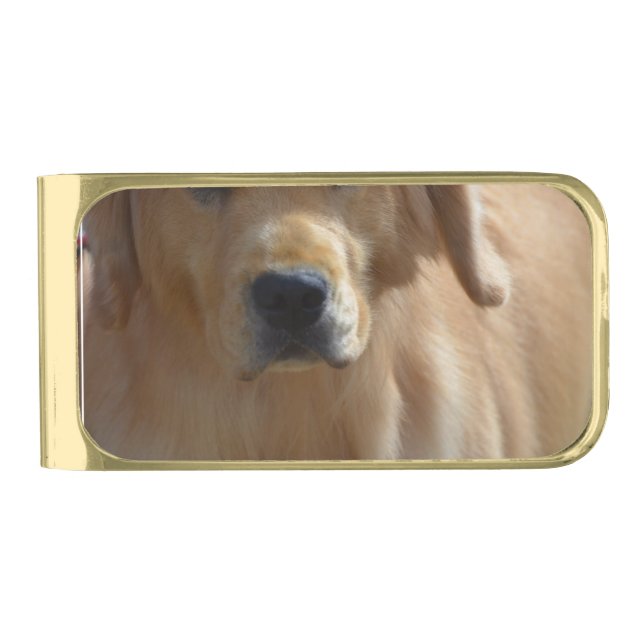 Gorgeous Golden Retriever Gold Finish Money Clip (Front)