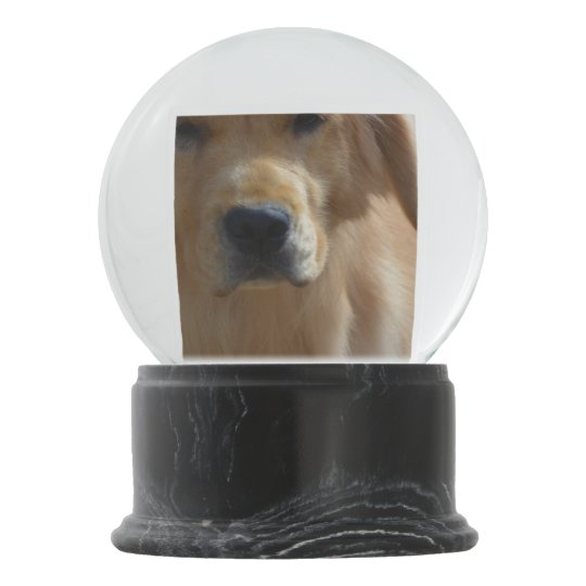 Golden Retriever Snow Globe
