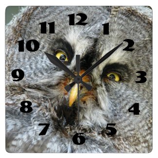 Great Grey Owl Close Up Print Wall Clock