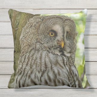 My Favorite Cute Owl Decorative Pillows For Owl Lovers