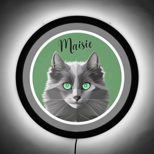 Gorgeous Grey Cat with Own Name on Green LED Sign
