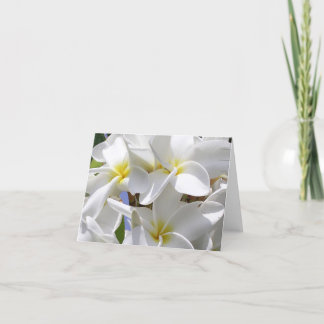 Gorgeous Hawaiian Plumeria Note Card