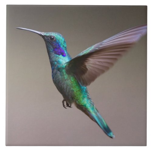 Gorgeous hummingbird in flight ceramic tile