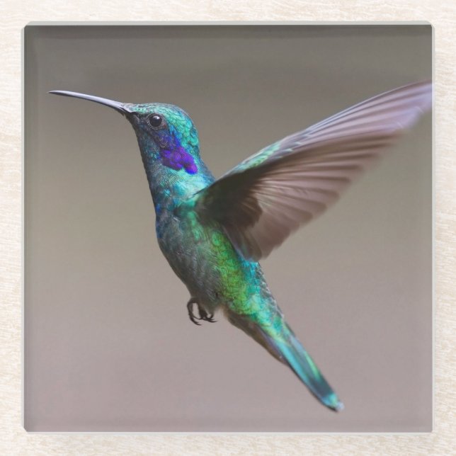 Gorgeous hummingbird in flight glass coaster (Front)