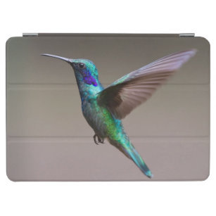 Gorgeous hummingbird in flight iPad air cover