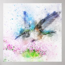 Gorgeous hummingbird watercolor poster