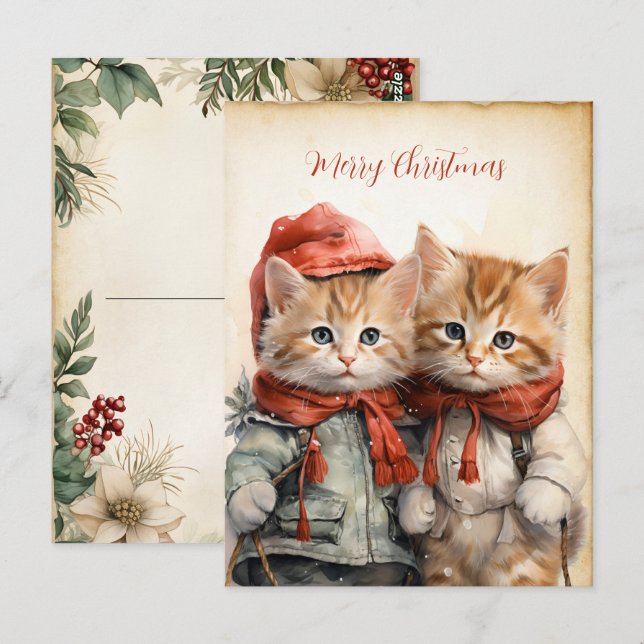 Gorgeous Kitten Couple Christmas  Postcard (Front/Back)