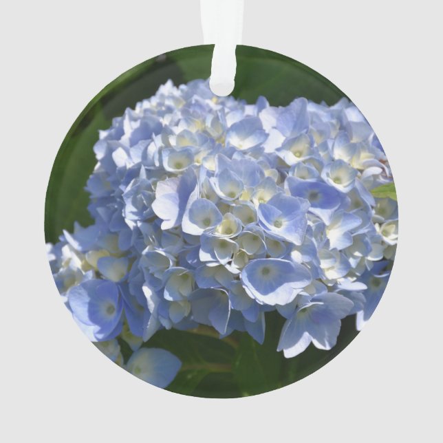 Gorgeous Light Blue Flowering Hydrangea Bush Ornament (Back)