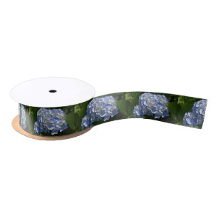 Gorgeous Light Blue Flowering Hydrangea Bush Satin Ribbon
