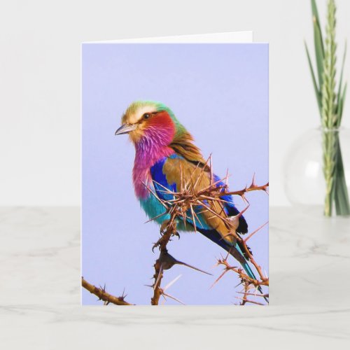 Gorgeous Lilac_Breasted Roller African Bird Card