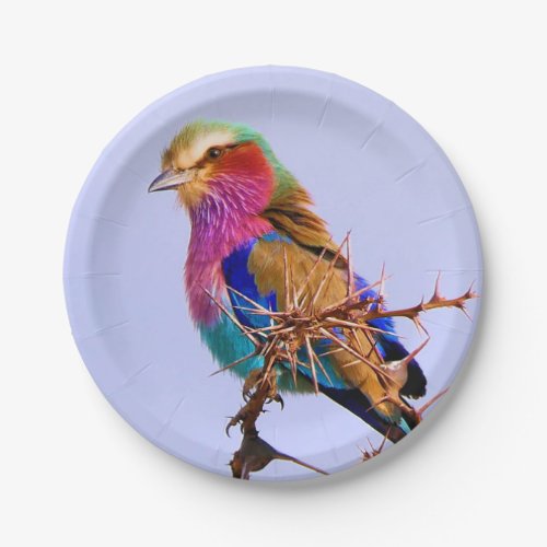 Gorgeous Lilac_Breasted Roller African Bird Paper Plates