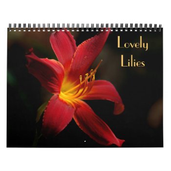 Gorgeous Lily Photo Calendar by Vanillaextinctions at Zazzle