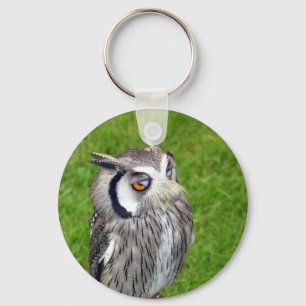 Gorgeous Little Owl Keychain