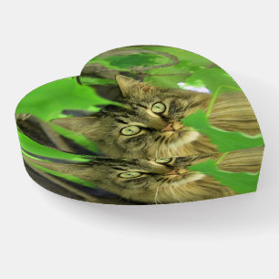 Gorgeous Main Coon Cat in Tree Paperweight