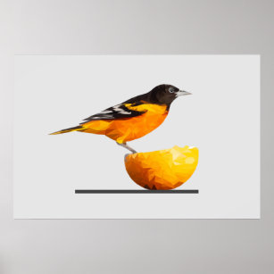 Minimalist Orioles Bird Canvas