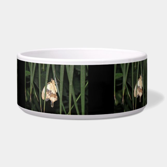 Gorgeous Moth Dog Bowl (Right)
